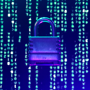 Vulnerability Scanner