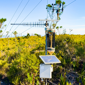 Real-Time Weather Station