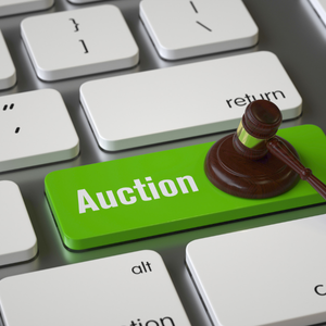 Online Auction Platform